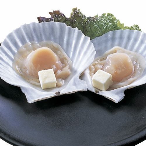 scallop