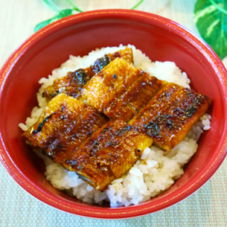 うな丼 半身分