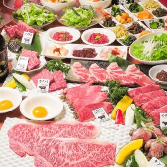 零食、盐烤面筋、各种肉类等共11道菜品【道森套餐道】标准套餐3,850日元！