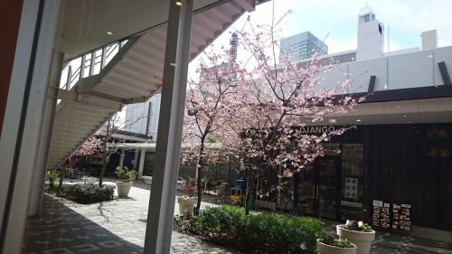 We look forward to seeing you on the first floor of Saitama Shintoshin Cocoon 2.