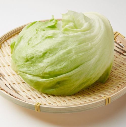 lettuce