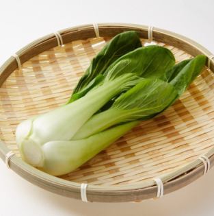 チンゲン菜