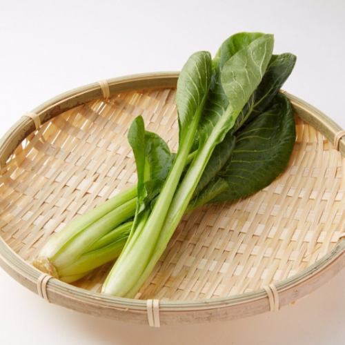 Komatsuna (Japanese mustard spinach)