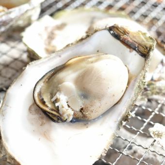 【食べ放題メニュー】牡蠣のみ食べ放題◆とにかく牡蠣を食べたい方におすすめ◆4980円(税込)
