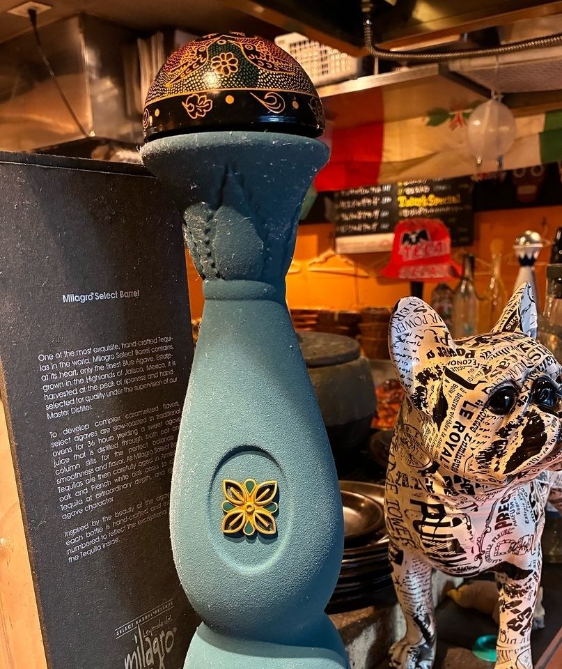 自由が丘のメキシカンバル★絶品タコスに豊富なメニュー!!デート・誕生日・女子会に◎