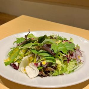 Green salad with plenty of vegetables