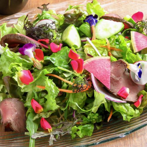 Today's salad