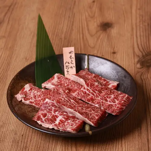 Tender skirt steak*