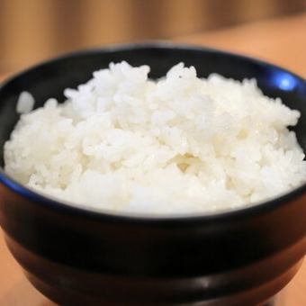 ライス