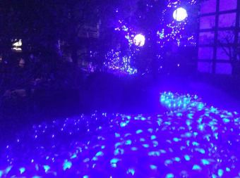 크리스마스 한정 디너 코스 11000엔(부가세 포함 12,100)