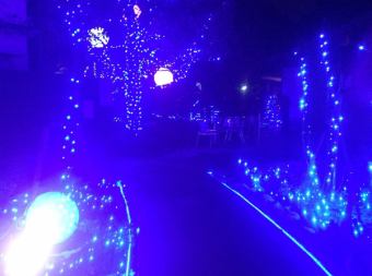 聖誕節限定晚餐套餐 16,000日元