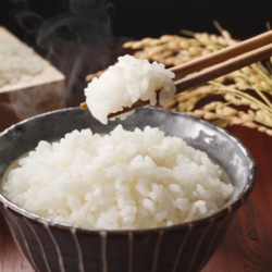白ごはん
