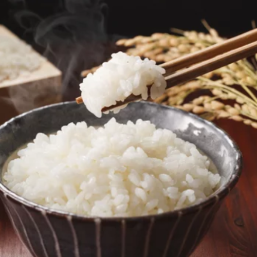 白ごはん