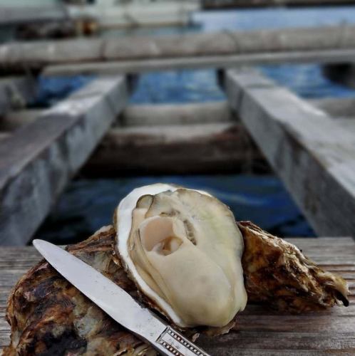 ぷりぷり食感の感動