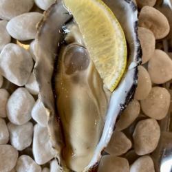 プレーン レモン