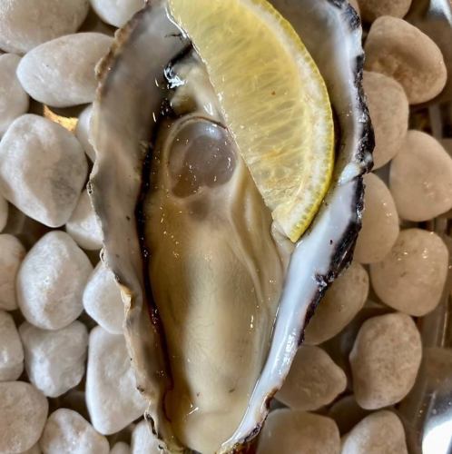 プレーン レモン