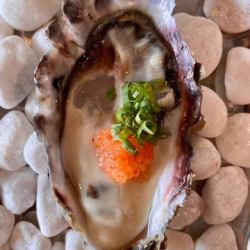 ネギ紅葉おろしポンズ