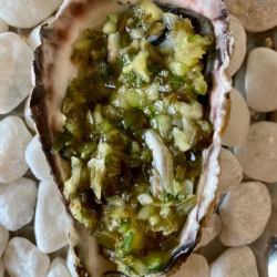 山形だし ～山芋・オクラ・茗荷・大葉など和風な出しソース～