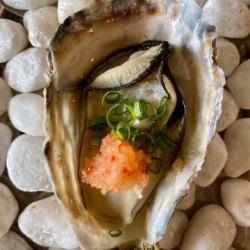 ネギ紅葉おろしポン酢