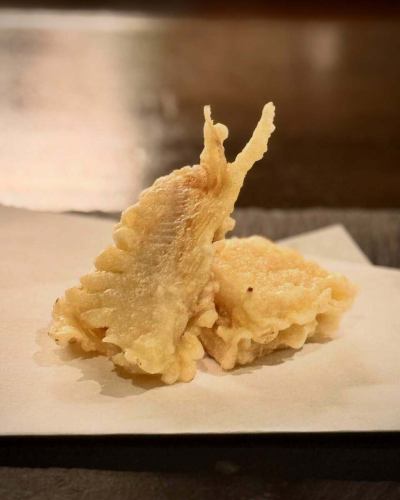 先日の特別ディナーコース「天ぷらの会」より。

今回も色々な天ぷらのコースを味わっていただきました。
イタリアンの要素も取り入れつつ、デザートまで天ぷら😏

来月は。。。お楽しみに。

ypsilon イプシロン
新宿区新宿1-16-16 テェアーカテリーナ101
TEL 03-6380-4288
ランチ 11:30~14:00LO
ディナー17:00~23:00LO

#ypsilonitalian #新宿 #新宿御苑前 #新宿御苑前グルメ #新宿御苑前ランチ #ディナー #イタリアン #新宿グルメ #東京グルメ #tokyorestaurants 
#パスタだいすき #昼飲み #大人スイーツ #イタリアンレストラン  #トラットリア #天ぷら　#tempura #特別ディナーコース #ウイスキー #新宿御苑 #レストラン #winelover #🍷#🥃 #🍾 #おいしいごはん