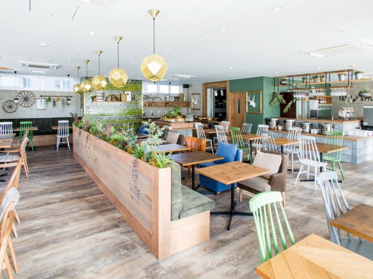 大きな一面ガラスから陽の光が差し込み