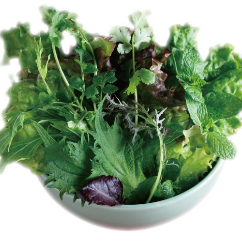 Vegetable bowl with herbs