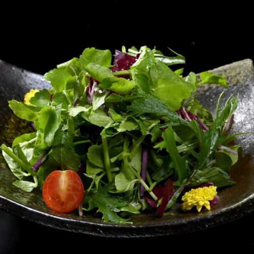 よきにくやセリサラダ