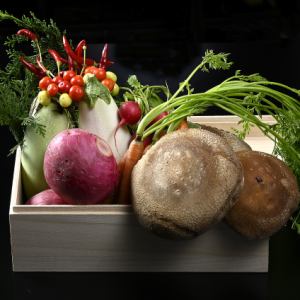 焼き野菜盛り合わせ