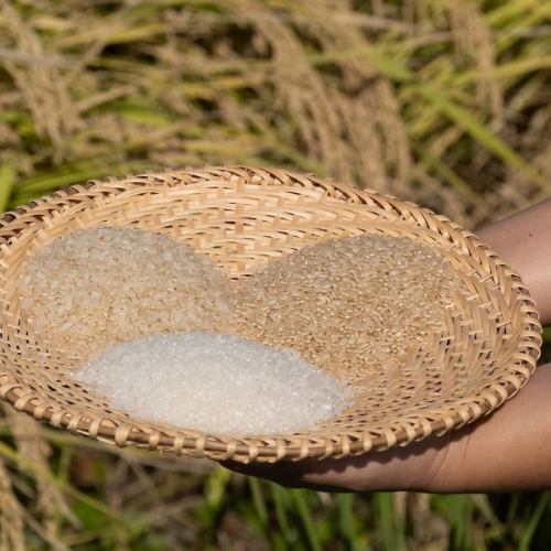 福島県会津坂下町FARMiliar ほりさんのこしひかり