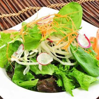 さっぱり野菜サラダ