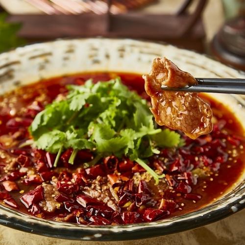 Sichuan spicy beef stew
