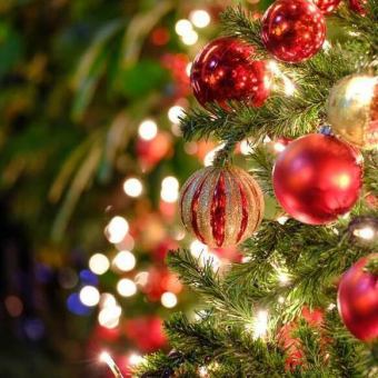 【クリスマス2025】クリスマスディナーコース
