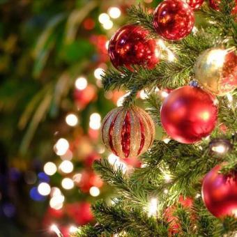 【クリスマス2025】クリスマスランチコース