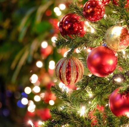 【クリスマス2025】クリスマスランチコース