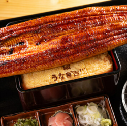 うな玉一本重（鰻1尾）