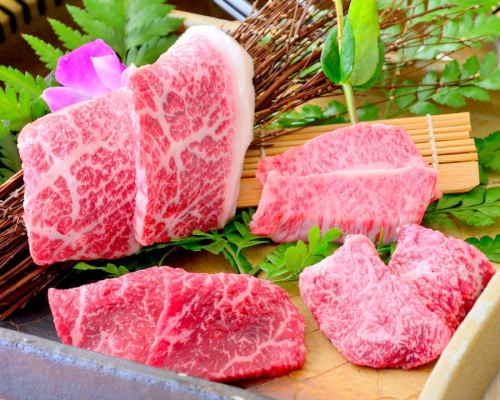 [Carefully Selected] Four Types of Wagyu Beef Comparison Set