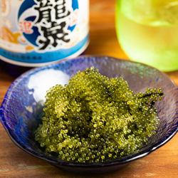 海ぶどう