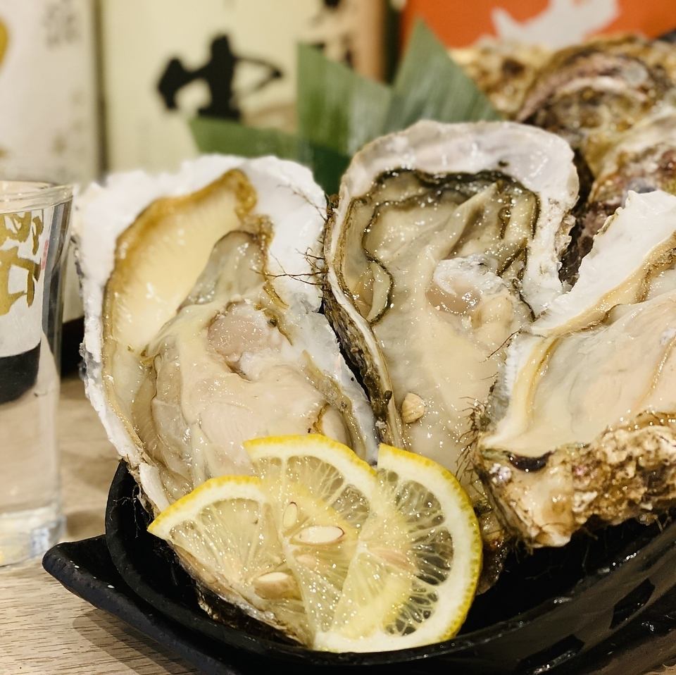 厳選仕入れの生牡蠣やお刺身など新鮮な魚介類もございます！