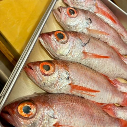 매일 구매의 조건 재료