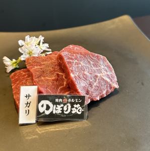 [卡比] 薩加里