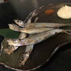 子持ちししゃも
