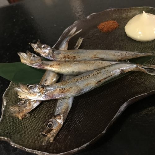 子持ちししゃも