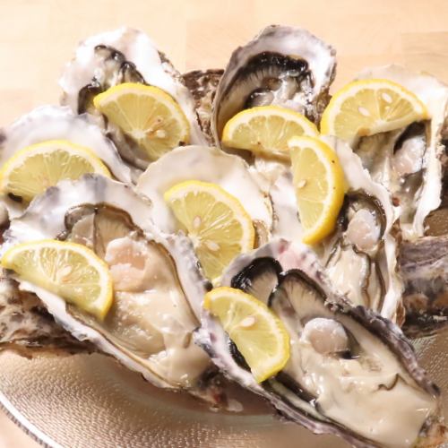 Raw oysters