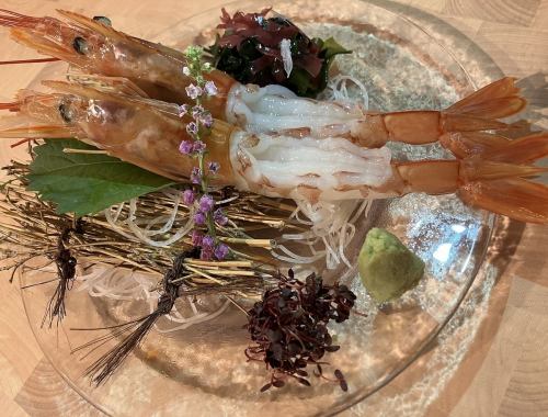 大海老刺し