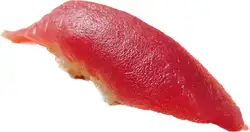 本マグロ
