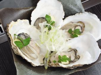 Hiroshima prefecture oysters