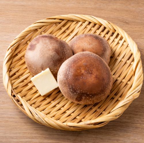 Thick, large cap shiitake mushrooms from Oita Prefecture