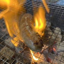 こだわりフランク
