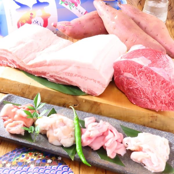 落ち着いた雰囲気の中で多彩な居酒屋メニューをご用意しております。団体様でのご利用はもちろん、お一人様でも気軽に楽しめる居心地の良い空間です。さらに、地産地消にも積極的に取り組み、地元の新鮮な食材を活かした料理をご提供しております。