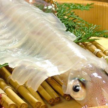 Yobuko direct delivery !! Squid appearance